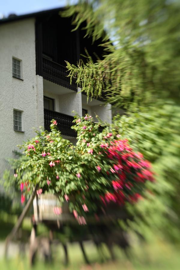 Landhaus Am Forst - Apartments 巴特亚历山大斯巴德 外观 照片